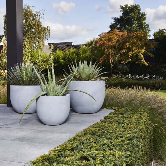 Argento New Egg Pot - Natural Grey.jpg