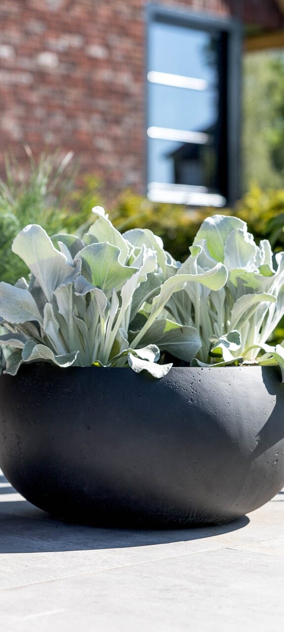 Grigio Low Balloon + Egg Pot - Anthracite.jpg