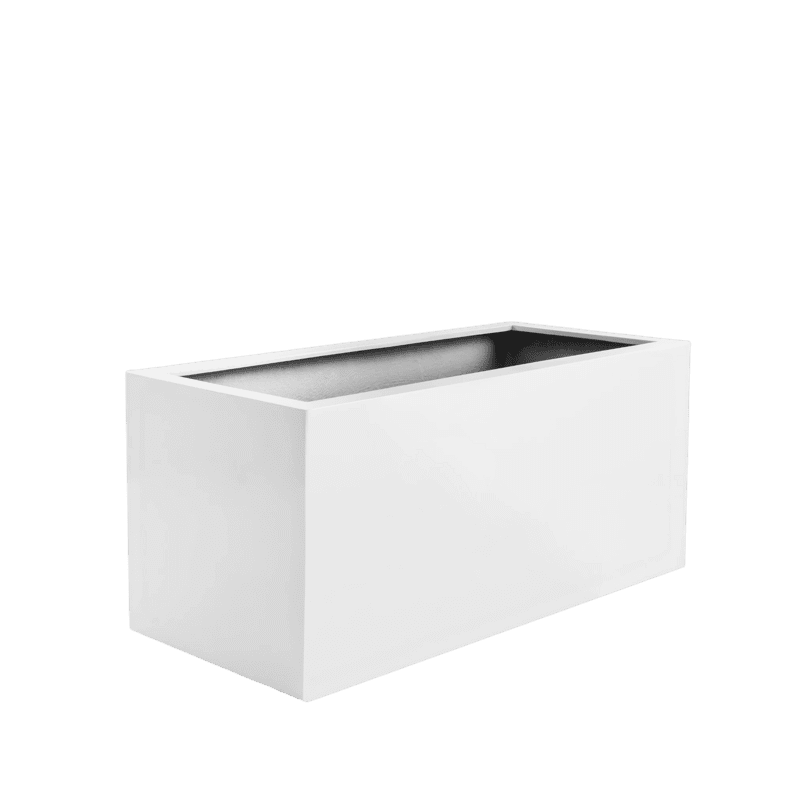 Argento Box - Matt White.png