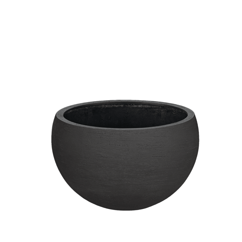 Terreno Elena - Earth.png